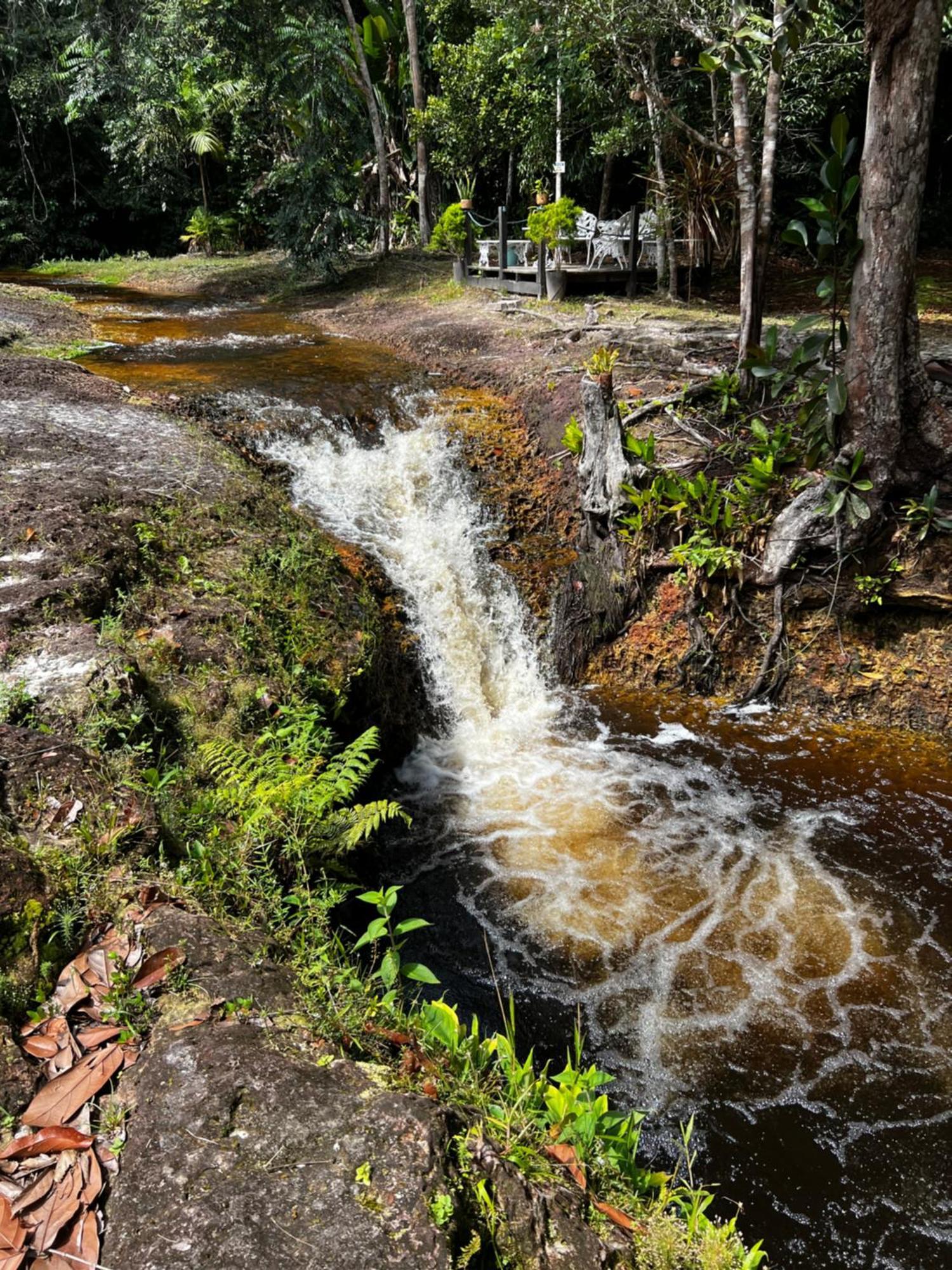 Pousada Paraiso Do Calango Azul Presidente Figueiredo Exterior photo
