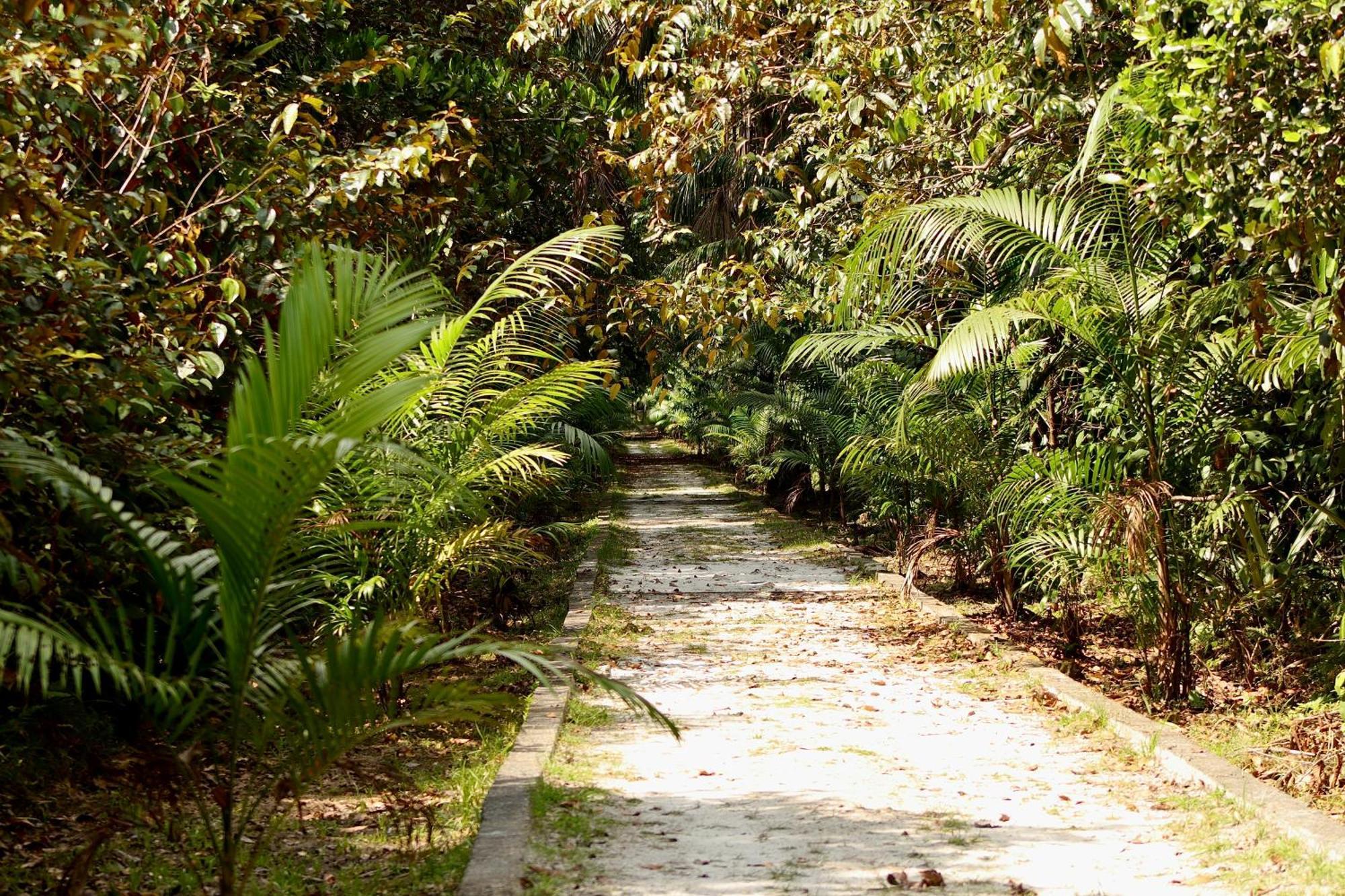 Pousada Paraiso Do Calango Azul Presidente Figueiredo Exterior photo